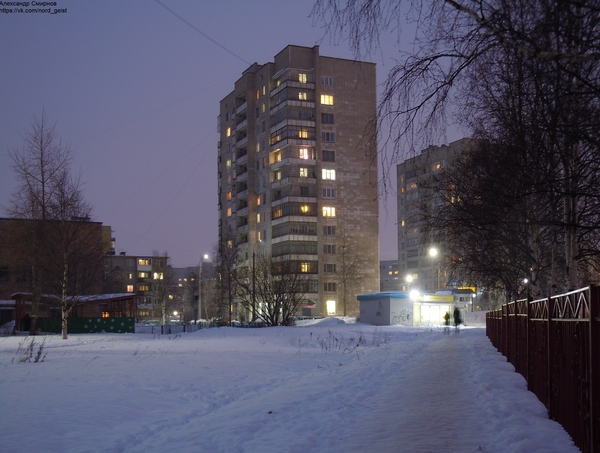 Anthill - My, Nikon, Russia, The photo, My, Evening, Snow