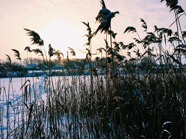 It's evening. - My, The photo, Evening, Landscape, Winter, Beautiful, Probably