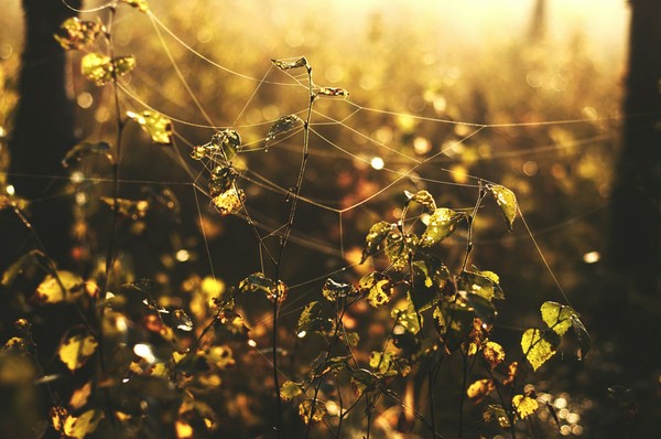 Sun. ,   .:) , , Nikon, , , , 