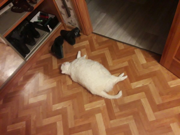 ����� �� ����� �� ������ �� ������