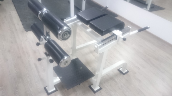 If you have 4 legs, do a hyperextension on this machine. - Training apparatus, Hyperextension