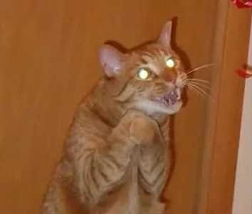    ! , ,  