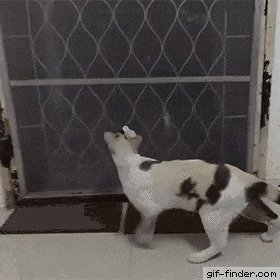  .   ,  , -, , 