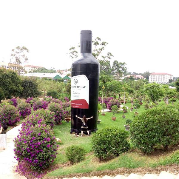 Honey, I'm just a bottle - My, Wine, Dalat, The park