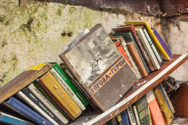 ����������� � 2006 ���� ������� ������ ���������, ������� ������, ����������, ���������� �������, ����������