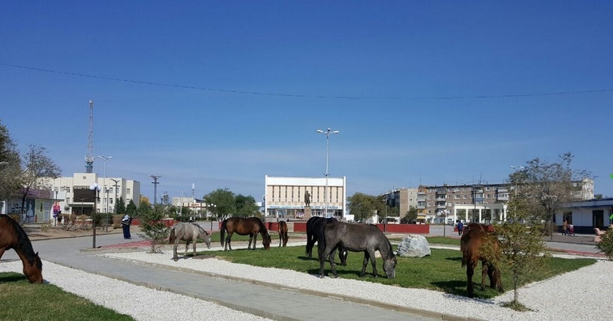 Сатпаев казахстан