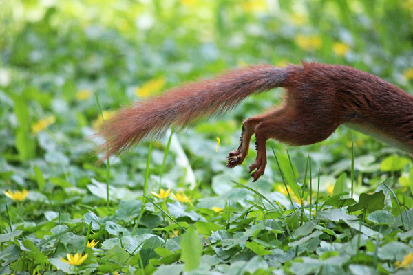 Бегство | Пикабу