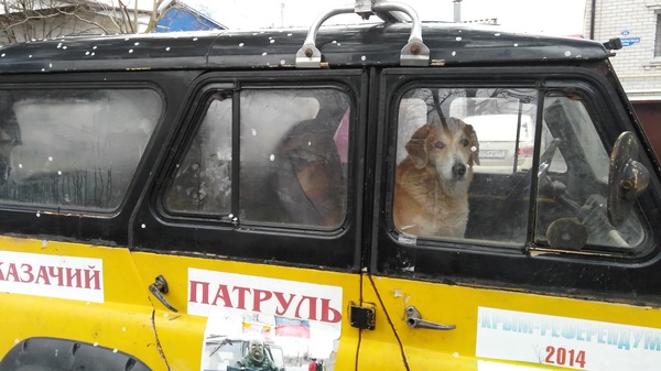 ����������.