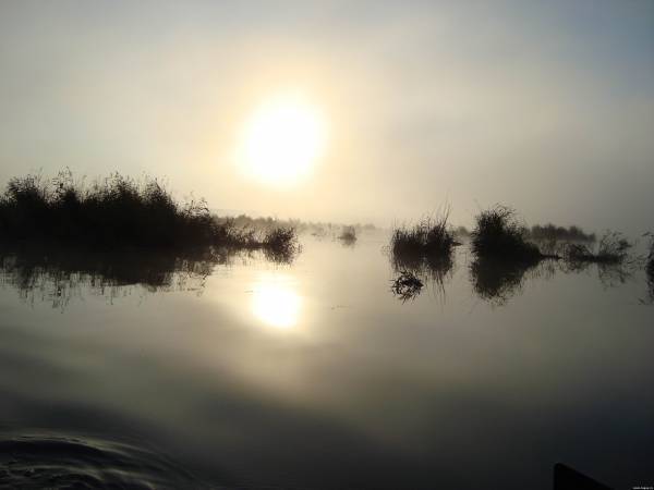 Misty morning - My, Fog, Duck hunting, Lake