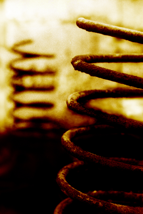 Пленочные фотографии на Зенит | Пикабу