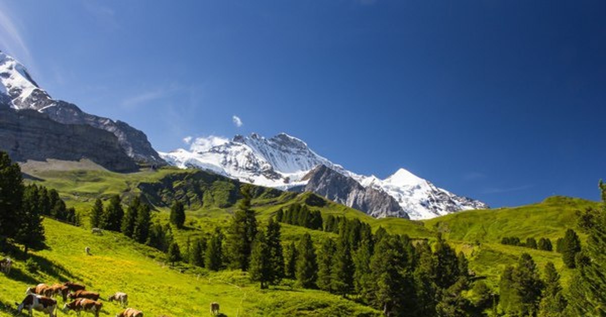 Switzerland mountains. Альпийские горы в Швейцарии. Альпийские Луга Швейцария. Регион Юнгфрау-Алеч-Бичхорн, Швейцария.. Юнгфрау-Алеч-Бичхорн (Бернские Альпы).