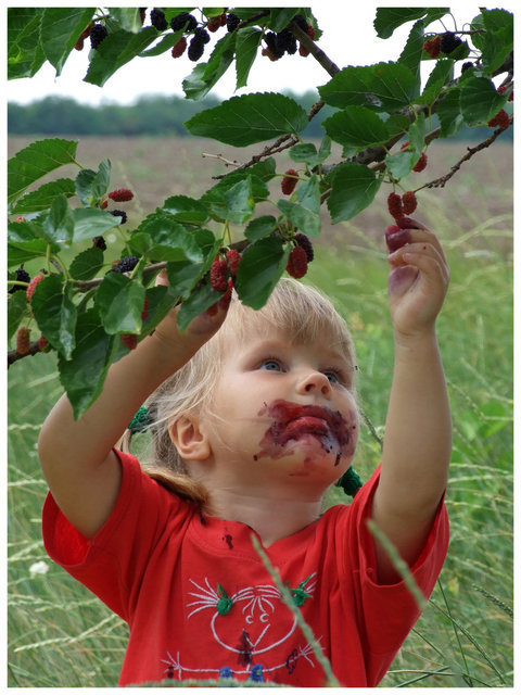 Childhood is golden - fly, battery! - My, Childhood, Childhood game, Safety engineering, Tree house, Mulberry, Injury, An injection, Longpost, Games