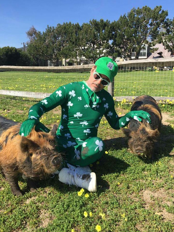 Happy St. Patrick's Day from Robert Downey Jr. - Robert Downey the Younger, Pig, Robert Downey Jr., St.Patrick 's Day