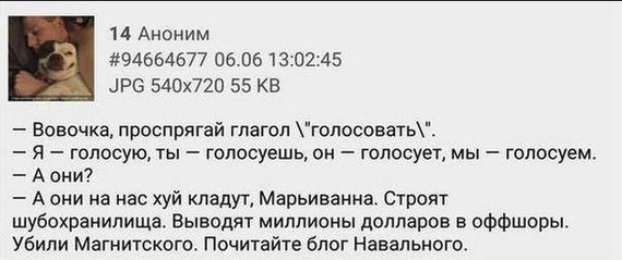 Little Johnny - Demon they, Conjugation, Alexey Navalny, Politics, Humor, Joke, Screenshot
