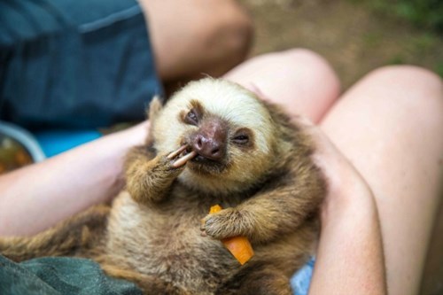 Доктор Зло. эволюция