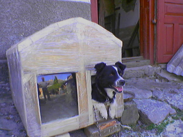 Neither rain nor snow - My, Booth, Dog, House, Door, Fortress, Cosiness, Heat, Life hack