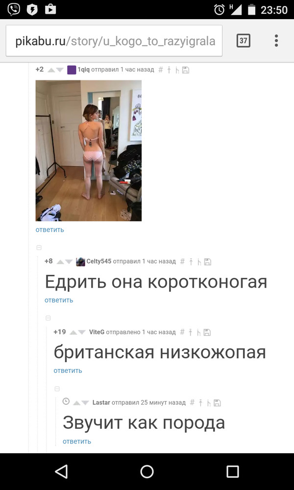 Comments. - The photo, Funny, Great view