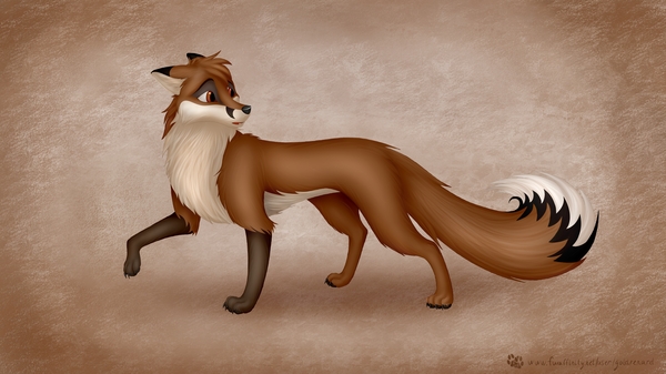 Daimon - My, Furry, Feral, Fox, , , , Drawing