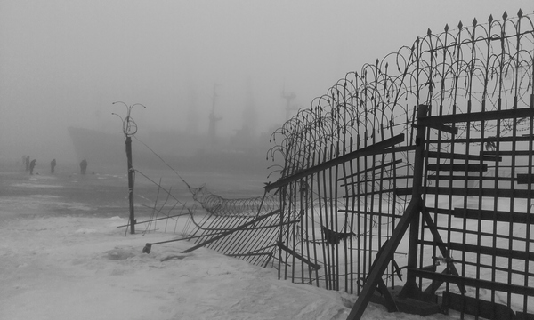 Petersburg fog. - My, Fog, Saint Petersburg, Kripota, Silent Hill