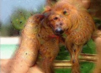 Как нейросеть видит "взрослый" контент. Нейронные сети, Gif анимация, Порно, Гифка