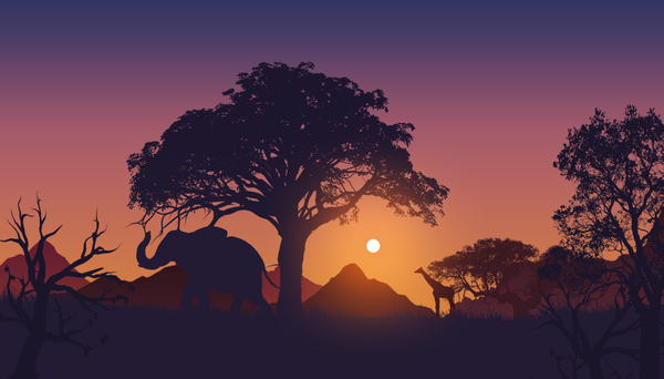 Sky africa - My, Art, Africa, Sky, Vektor, , Animals, Flat design