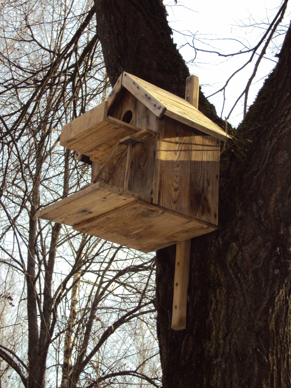 Cottage, odnushka, communal :) - Spring, Birdhouse, Humor, The photo, Longpost