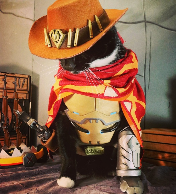 Mccree cat - cat, Overwatch, Blizzard, Cosplay, 