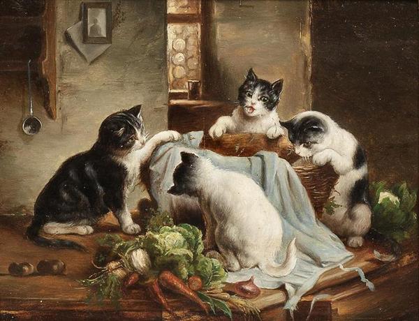 Author: Carl Reichert - cat, Curiosity, Petersburg cats