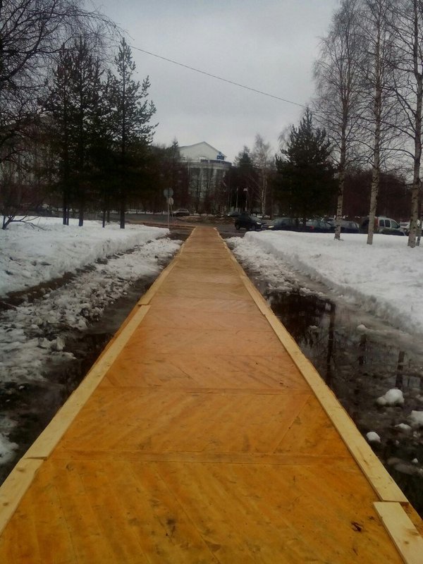 And don't forget the red carpets - Arkhangelsk, Vladimir Putin, Marasmus, Repair, Safu, Longpost