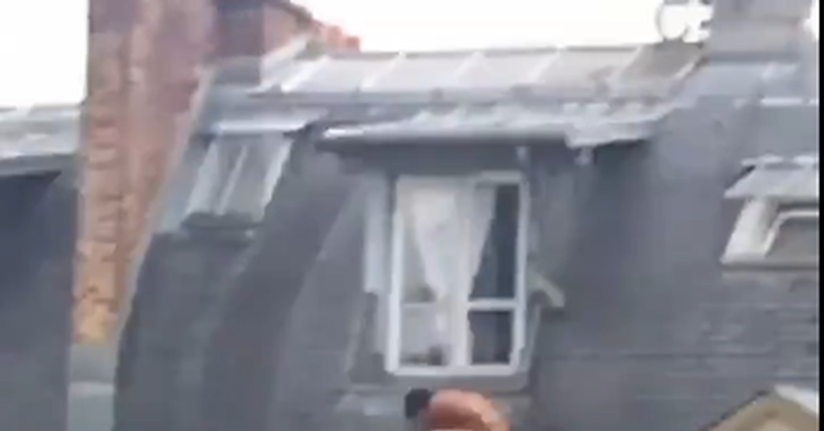 Lover hides on the roof from her husband who has returned home - NSFW, Roof, Lover, Video