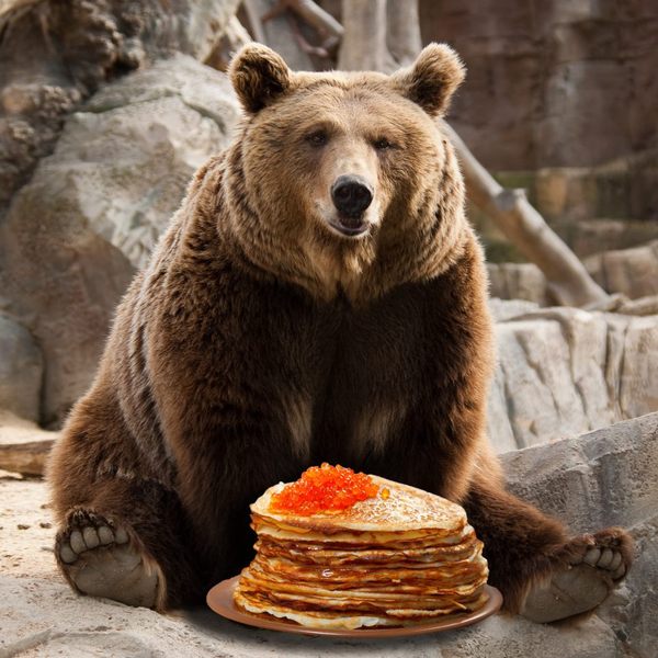The first pancake for the bears! - Vital, Facts, Interesting, Suddenly, 