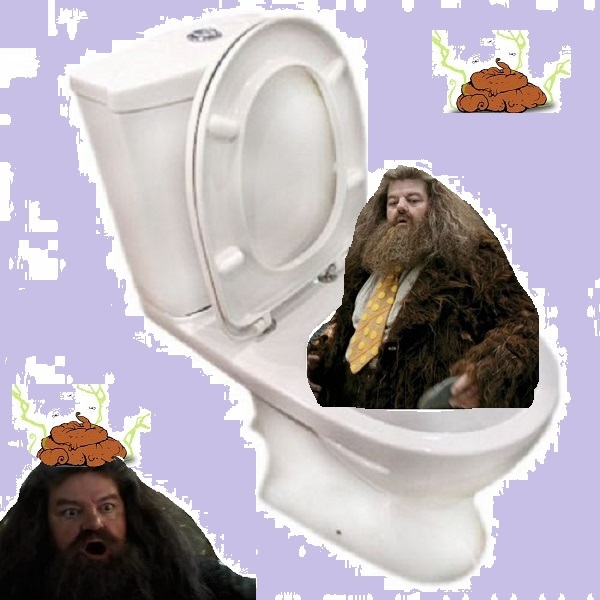 Found the reason why we were afraid to go to the toilet at night in childhood - Hagrid, Harry Potter, Night, Toilet, Joke, Humor, Laugh, Images