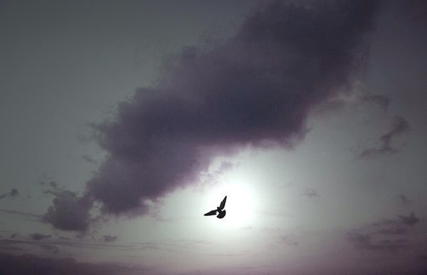 Картинка на рабочий стол.