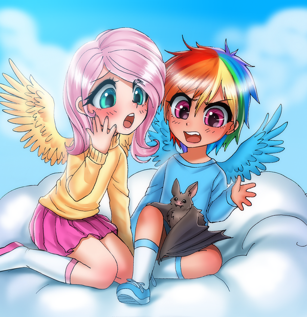Where did you get it My Little Pony, Racoonkun, Rainbow Dash, Fluttershy, 