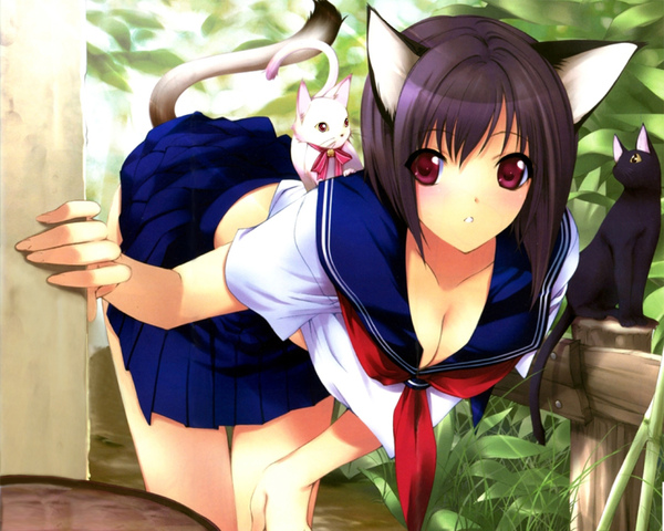 Meow everyone =^.^= - Meow, , Longpost, Anime