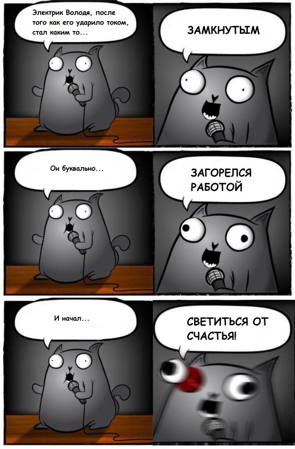 Electrician Volodya - Humor, Standup Cat