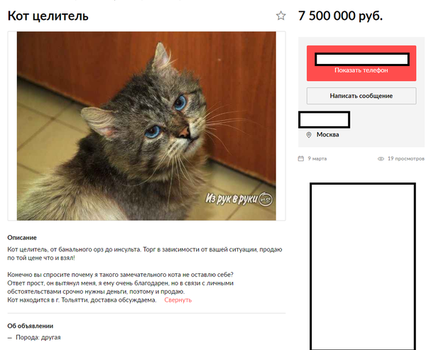 Кот целитель