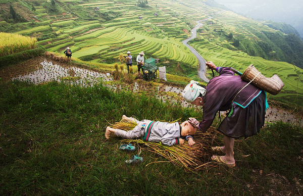 Lunch dream. - China, Children, Dream, Parents, Field, Work, The photo