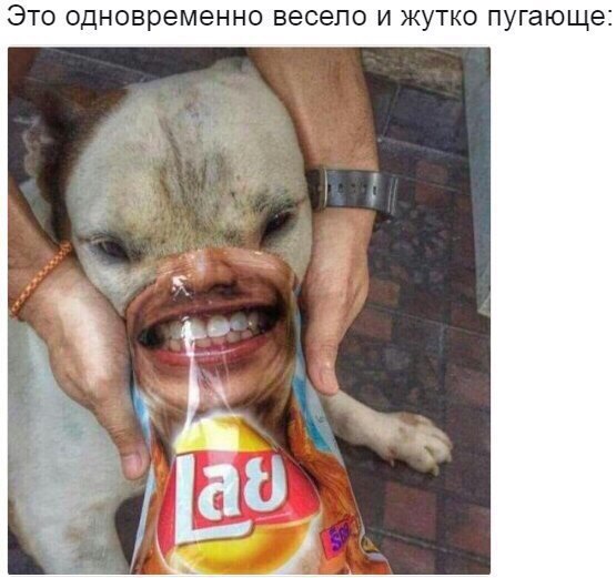 �� � �� ��, ����� �������! (������� � ��)