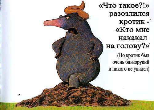 European classic for children. The tale of the mole who wanted to know who pooped on his head - Upbringing, Children, Europe, Lawlessness, Story, Longpost