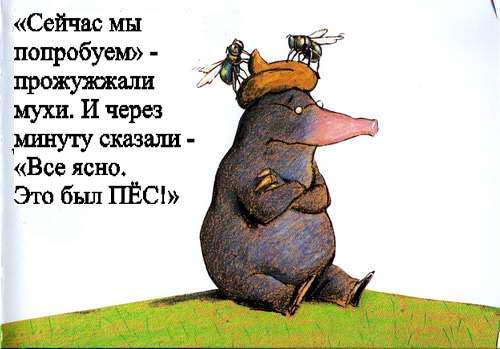 European classic for children. The tale of the mole who wanted to know who pooped on his head - Upbringing, Children, Europe, Lawlessness, Story, Longpost