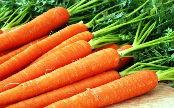 The truth about carrots - Carrot, Truth, Health