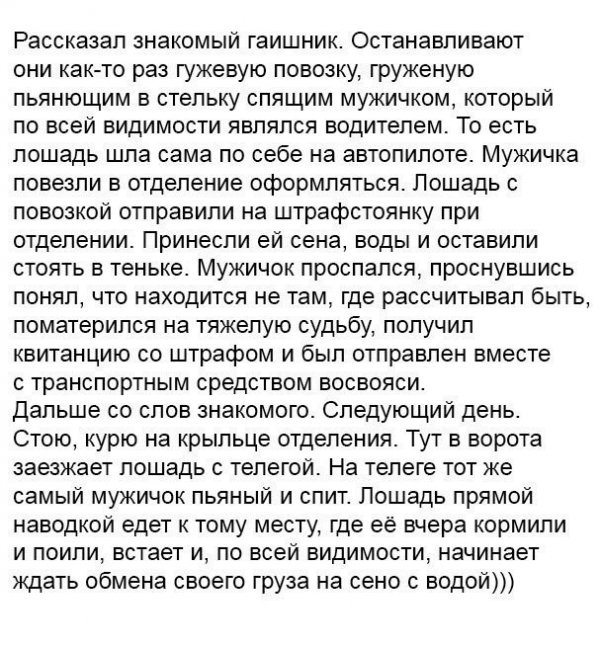 Лошадка нашла золотую жилу