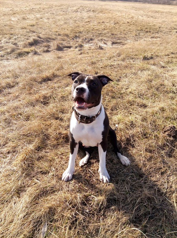 Нужна помощь в поиске жилья.