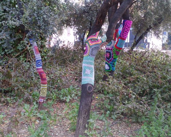 Why are trees dressed? - My, Tree, Cold, Scarf, Spain, Video