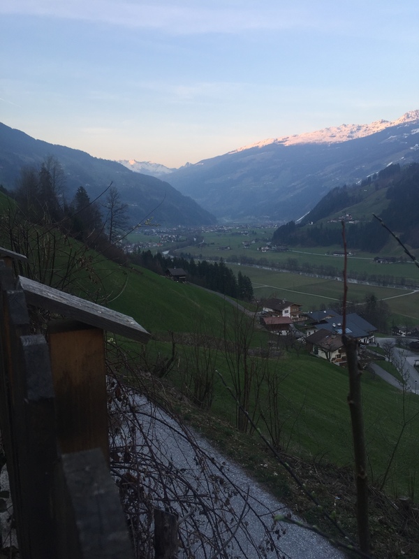 Austria, Zillertal - My, Austria, Tyrol, The mountains, beauty, Cow