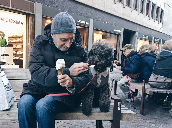 Italians and their dogs - My, Dog, Italians, friendship, Loneliness, Longpost