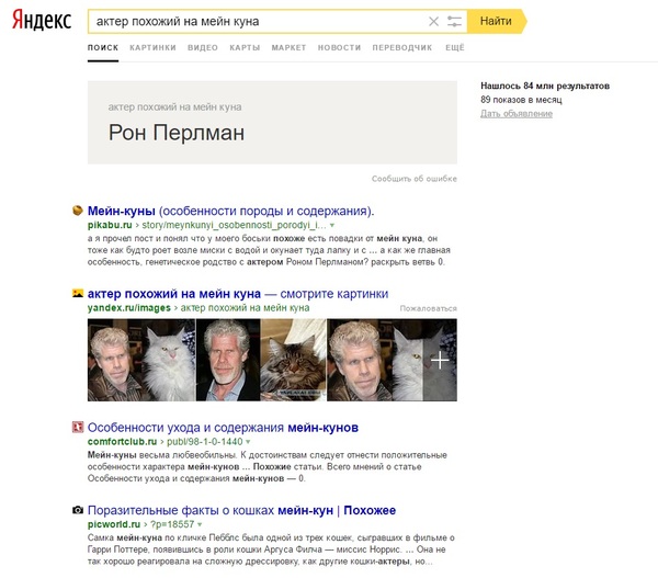 I think Yandex knows everything! - Ron Perlman, cat, Maine Coon
