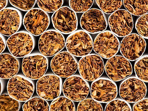 50 cigarettes cause one mutation in lung cells - The medicine, Health, Smoking, Images, Text, Mutation, Article