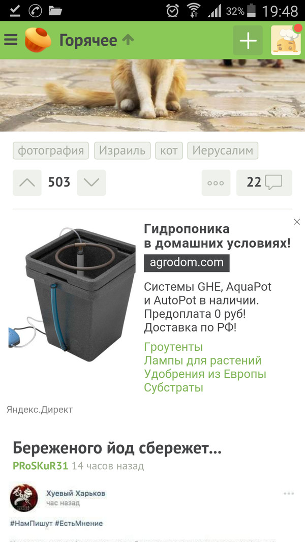 Пикабу, на что ты намекаешь? Это законно? )